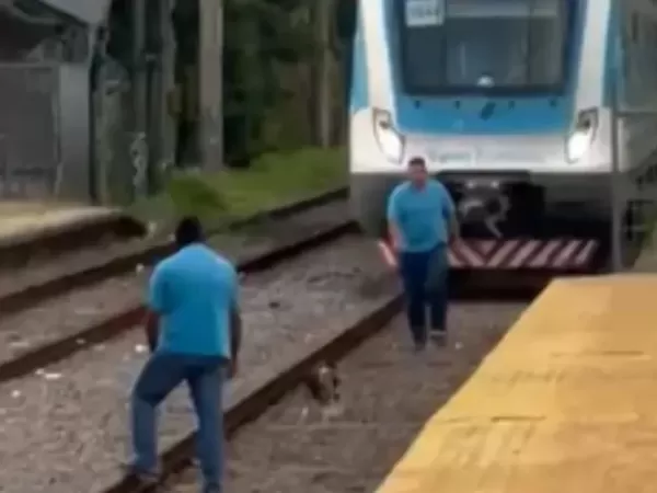 Frenaron el tren roca para no atropellar a un perro