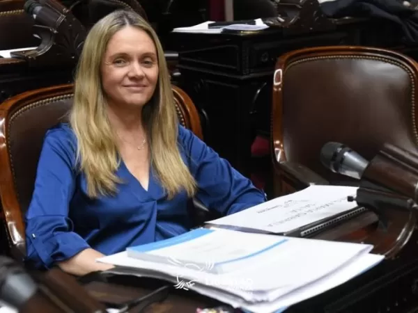 Una diputada de La Libertad Avanza admiti&oacute; que su hijo usa sus pasajes oficiales del Congreso para viajar