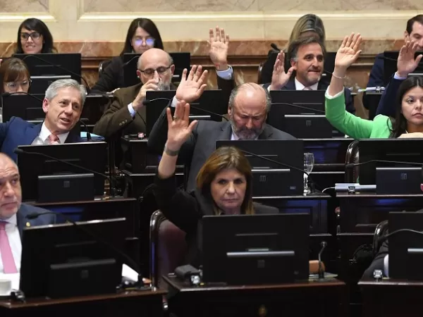 Con aliados divididos y parte de la oposici&oacute;n fuera del recinto, el Senado convirti&oacute; en ley el recorte de subsidios en Zonas Fr&iacute;as