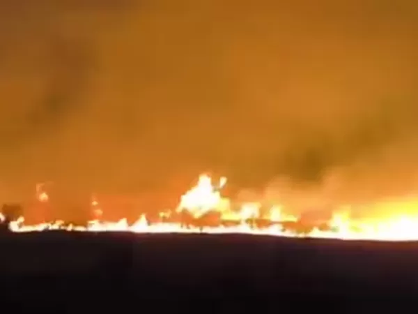 Se quemaron m&aacute;s de 200 hect&aacute;reas en Mar del Plata y crece la hip&oacute;tesis de que fue intencional