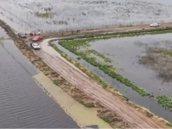 Ampliaron la emergencia agropecuaria por inundaciones con beneficios fiscales y crediticios