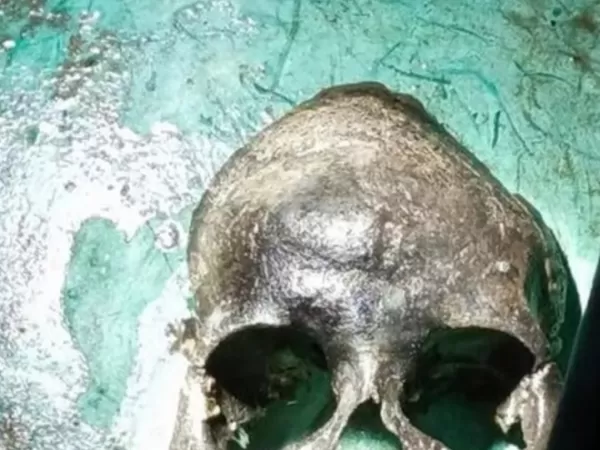 Descubrieron un cr&aacute;neo en una playa y los especialistas trabajan en identificar los restos