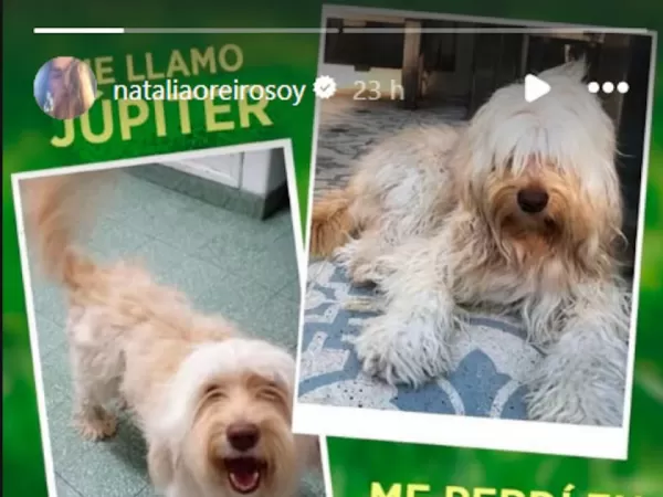 Natalia Oreiro busca a su perro J&uacute;piter, perdido en San Isidro