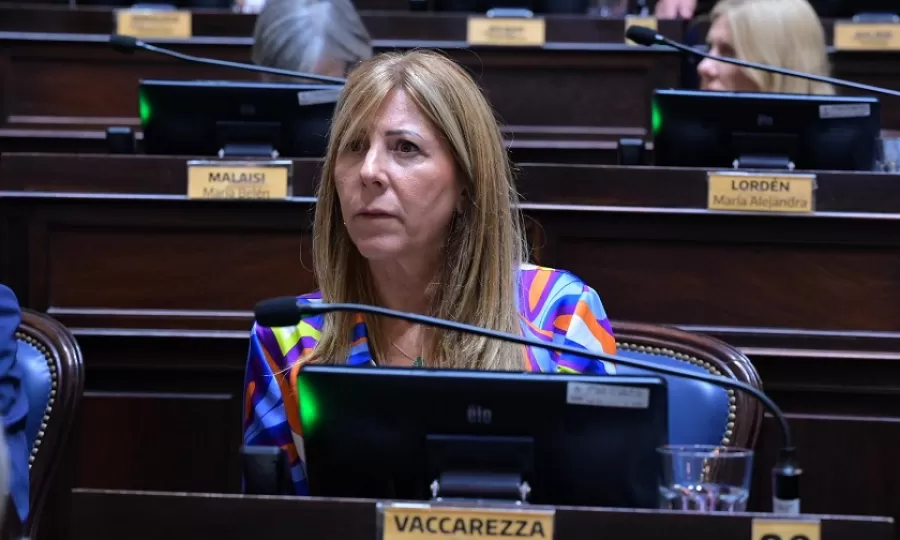 Vaccarezza cuestion&oacute; el ajuste de Milei en el INTA: &ldquo;Es una p&eacute;sima noticia para los productores&rdquo;