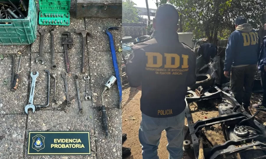 Desmantelaron un desarmadero de autos y apresaron a tres personas