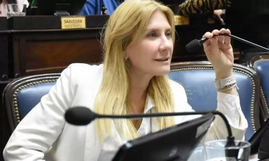 Diputados radicales criticaron a Milei por salir de la OMS