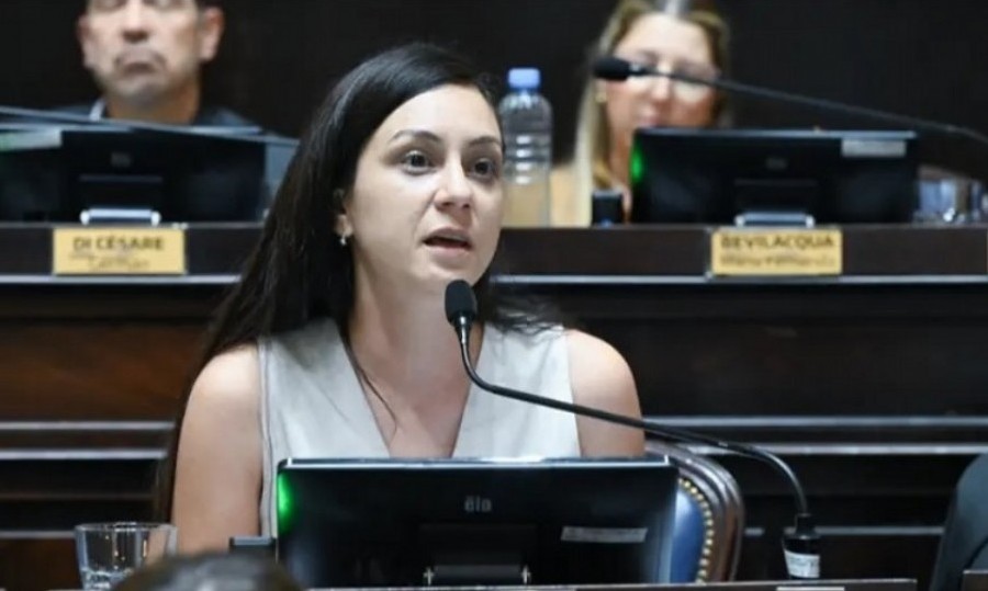 Dos diputadas bonaerenses cargaron contra Milei: “Parece que vinieron a institucionalizar la corrupción”