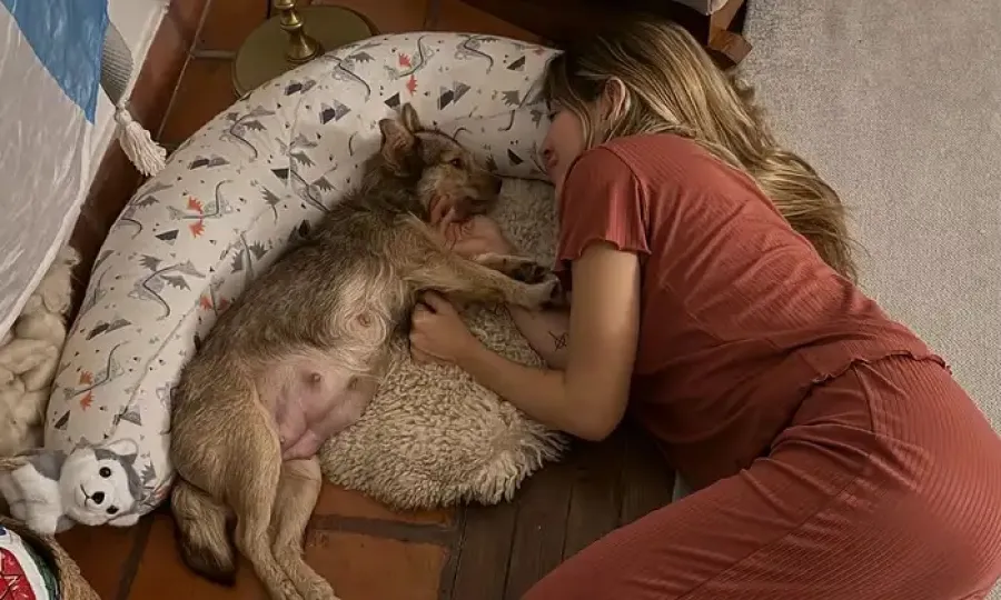 Jimena Bar&oacute;n se emocion&oacute; con el parto de su perra
