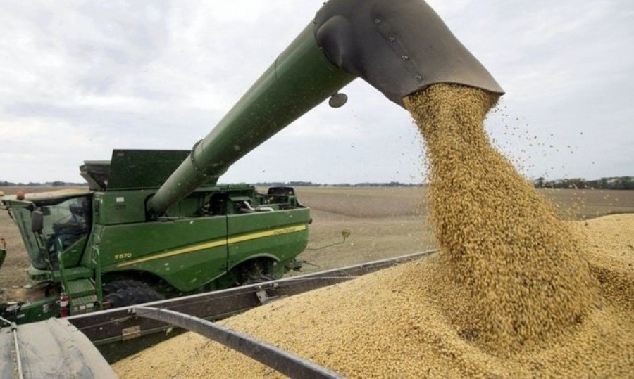 Se trata de un régimen de incentivo temporal hasta el 31 de agosto, para que los productores vendan los granos.