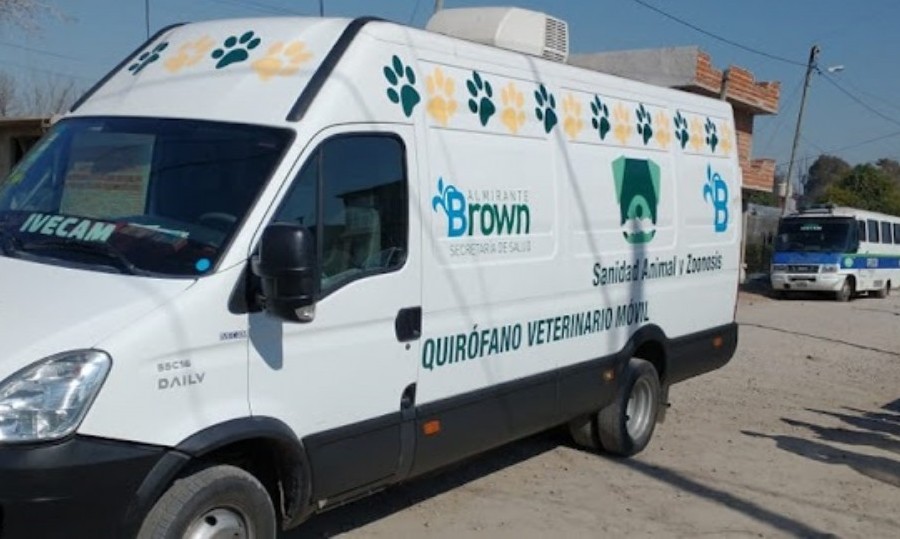En el lugar se hallaron 10 perros adultos y 7 cachorros en condiciones inadecuadas.