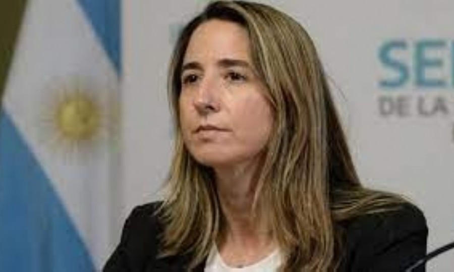 La senadora bonaerense Flavia Delmonte (UCR) afronta un pedido de desafuero.
