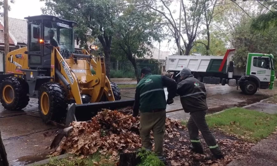 El Municipio realiza tareas de limpieza y saneamiento ante las intensas lluvias