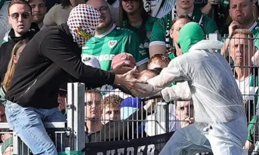 En Alemania un hincha se meti&oacute; a la cancha y desconect&oacute; el VAR