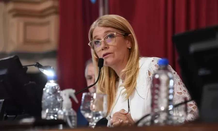 Magario demora la sesi&oacute;n en el Senado y las autoridades podr&iacute;an definirse en marzo