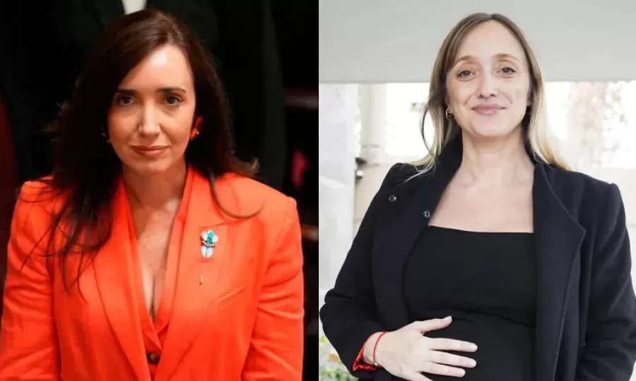Victoria Villarruel autoriz&oacute; a que Fern&aacute;ndez Sagasti participe de forma virtual del debate por la Ley de Tierras