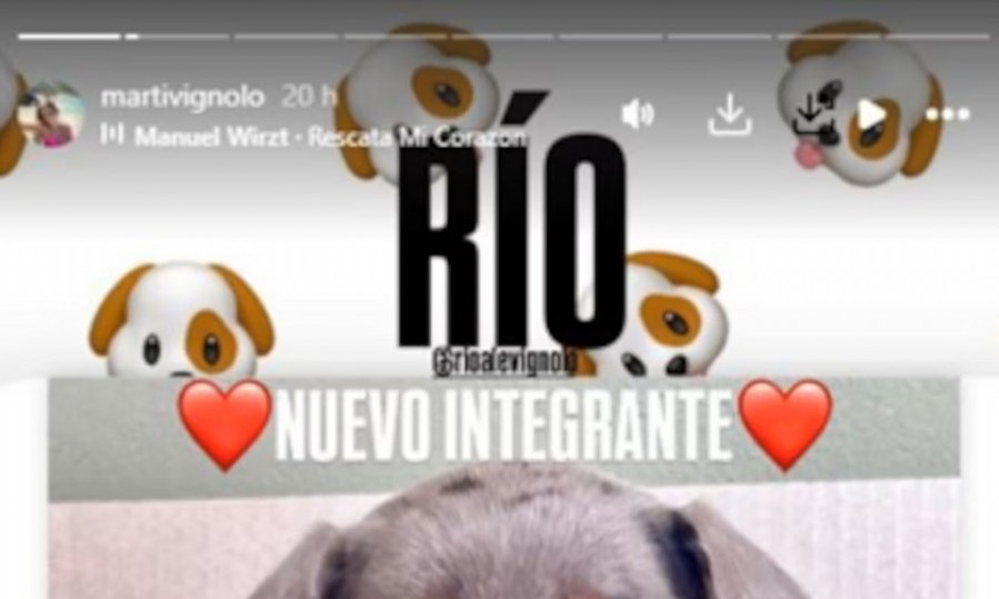 El actor y su pareja se mostraron felices por agrandar la familia y compartieron un tierno posteo en sus redes sociales.