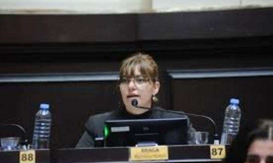 La diputada Romina Braga.