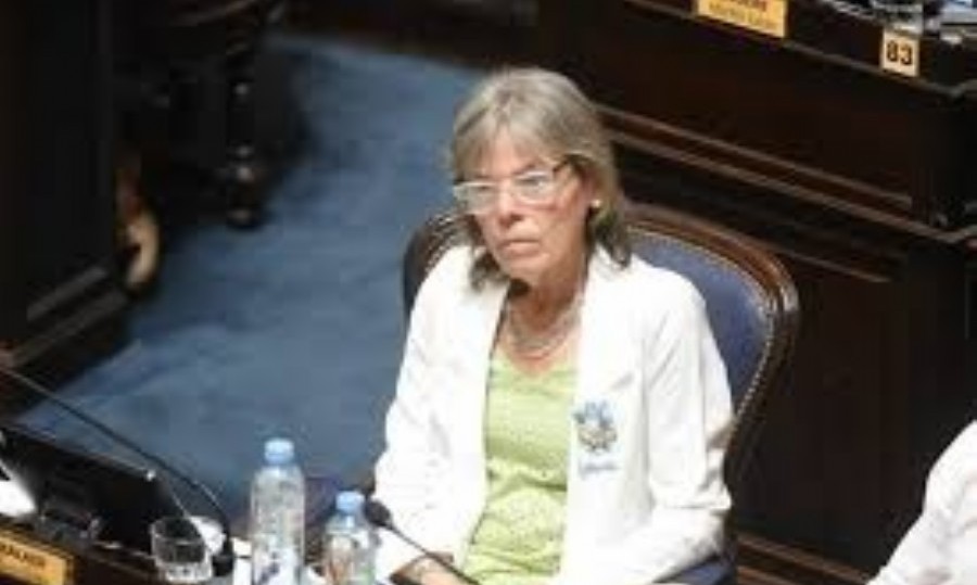 La diputada del radicalismo, Belén Malaisi.