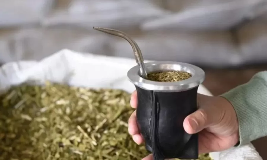 El Gobierno elimin&oacute; controles y habilit&oacute; yerba de menor calidad