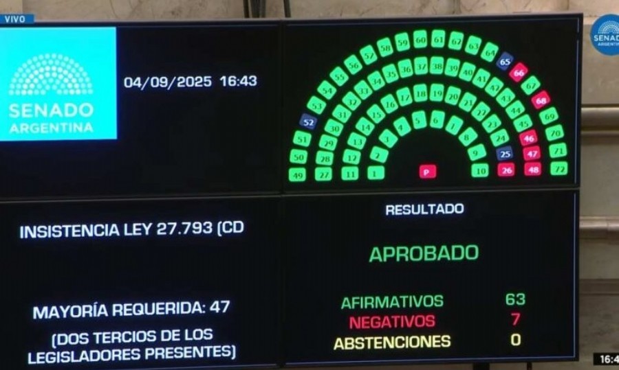 El Senado hizo valer la Ley de Emergencia en Discapacidad.