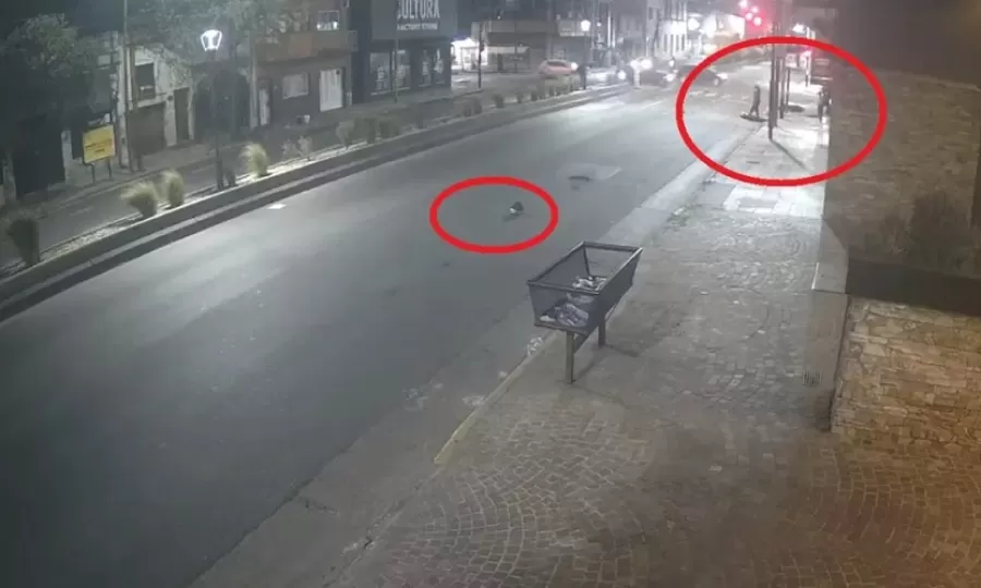 Apareci&oacute; un video que muestra que el colectivero que choc&oacute; a Cristian Jalil cruz&oacute; en rojo
