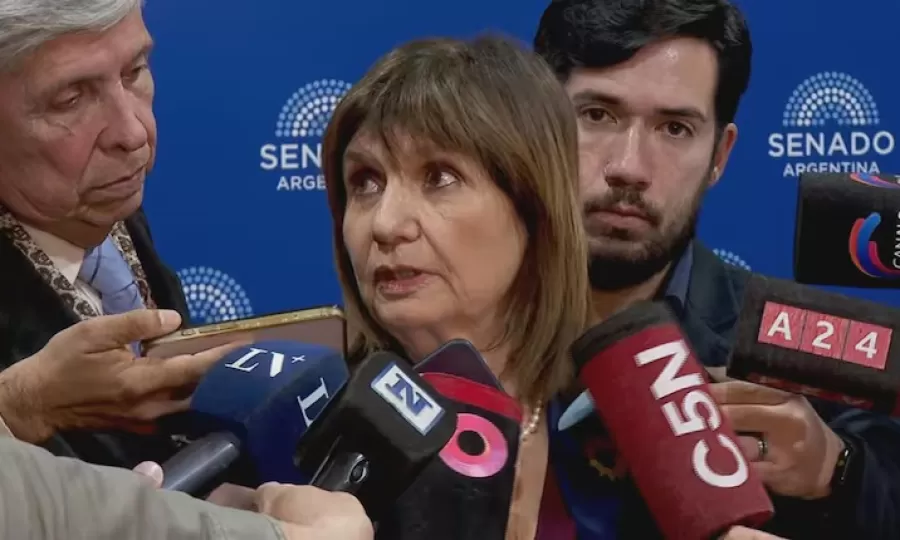 Patricia Bullrich escal&oacute; la tensi&oacute;n con el Gobierno por los recortes en Discapacidad: &ldquo;Ni Mart&iacute;n Menem ni yo nos enteramos&rdquo;