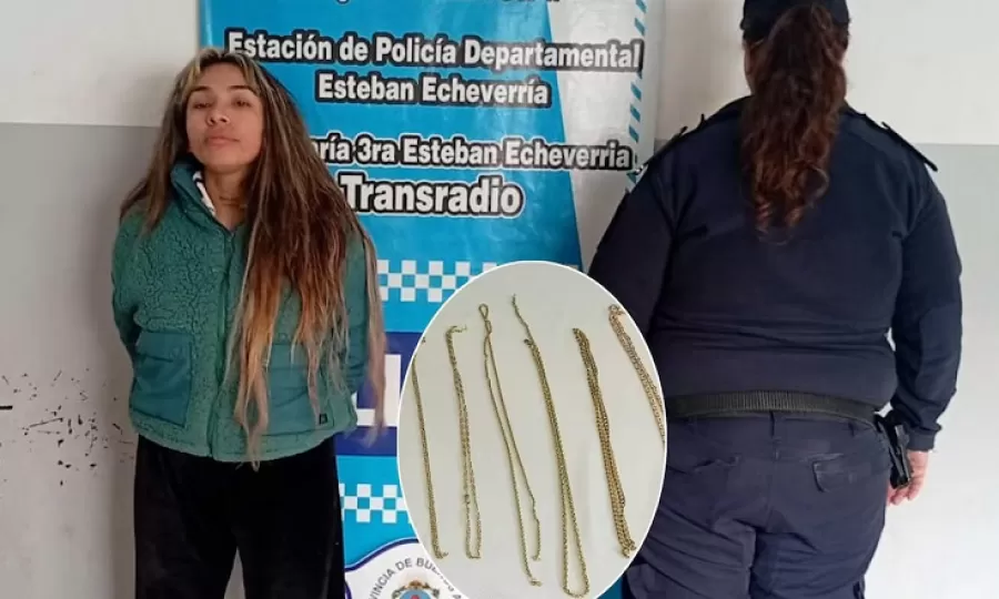 Cay&oacute; en un hotel alojamiento una acusada de cometer robos bajo la modalidad &ldquo;viuda negra&rdquo;