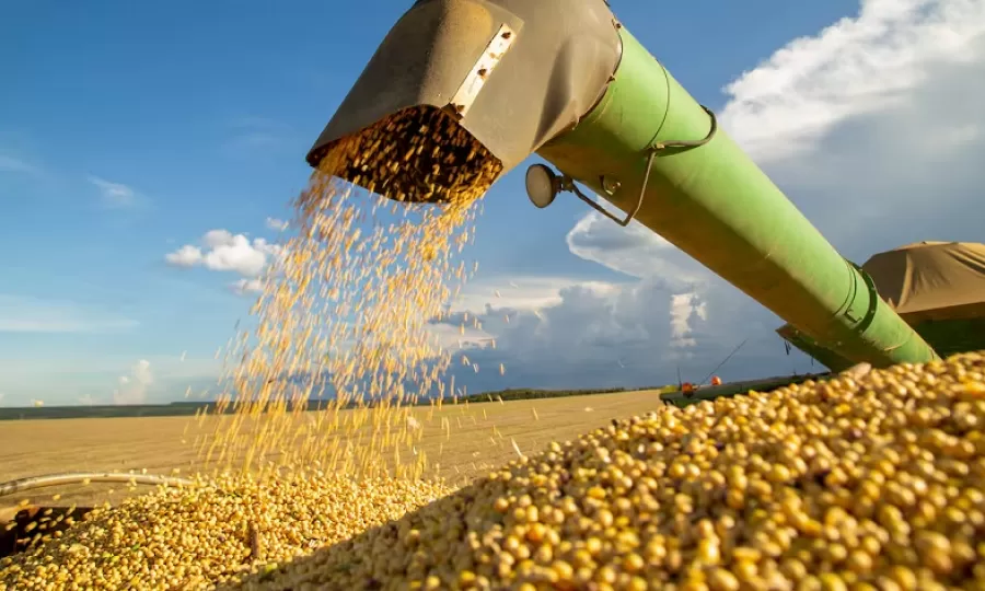 Brasil desplaz&oacute; a la Argentina como l&iacute;der mundial en exportaci&oacute;n de harina de soja