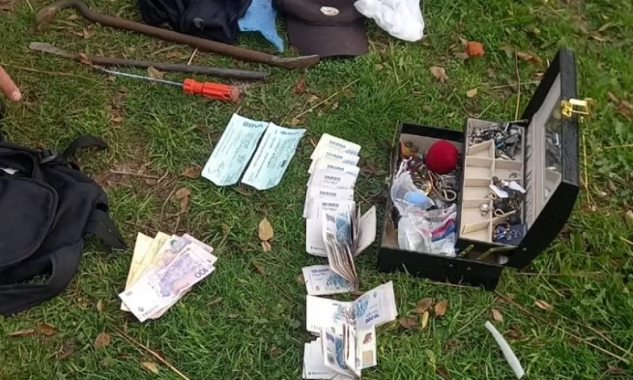 Entraron a robar a una casa, rastrearon un iPhone y detuvieron a dos sospechosos