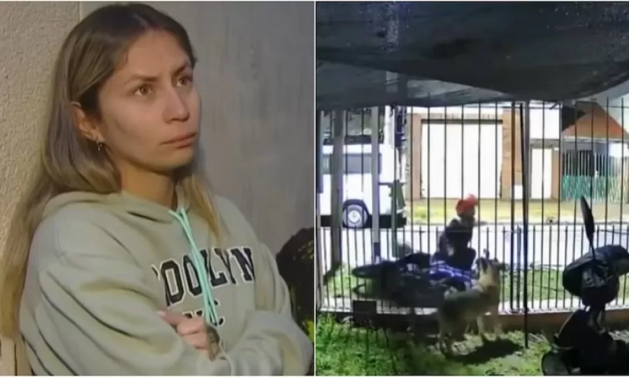 Dos motochorros atacaron a una mujer delante de su hijo de 11 a&ntilde;os para robarle