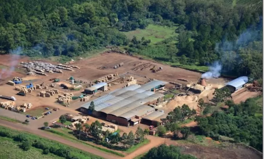 Quebr&oacute; uno de los aserraderos productores de pallets m&aacute;s grandes del pa&iacute;s