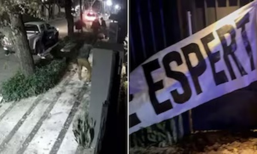 Arroyo Salgado excarceló a tres imputados por el escrache a Espert.