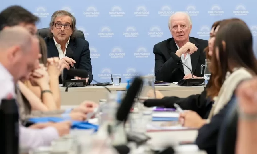 El Gobierno espera tener dictamen y llamar a sesi&oacute;n este jueves