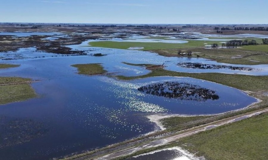 CARBAP advirtió que las inundaciones afectan más de 3 millones de hectáreas y reclamó obras hídricas urgentes.