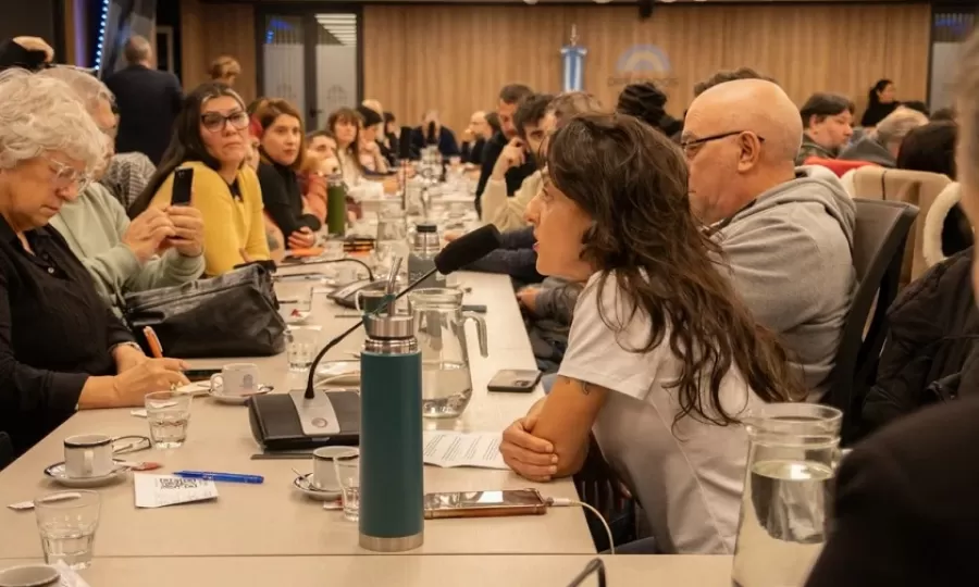 Diputados presionan y piden juicio pol&iacute;tico a Lugones por la crisis en Discapacidad
