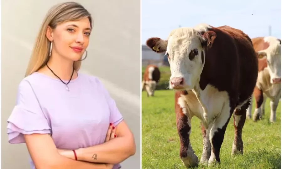 Una diputada bonaerense propuso un impuesto a la emisión de gases de las vacas