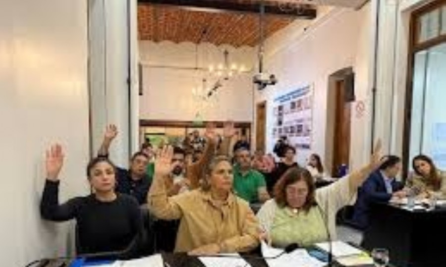Los concejales expusieron su postura respecto del proyecto el cual terminó recibiendo un respaldo mayoritario.
