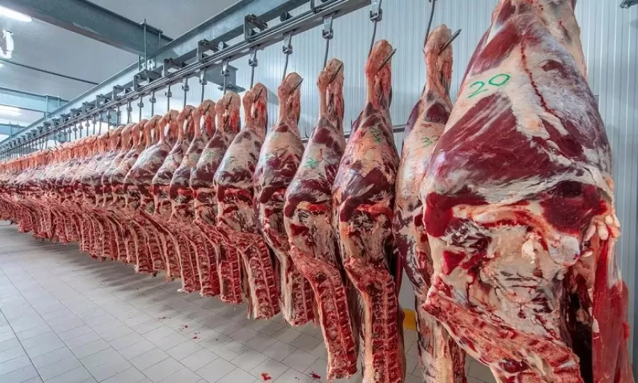 Productores advierten que el nuevo esquema chino abre un desaf&iacute;o para las exportaciones argentinas de carne vacuna