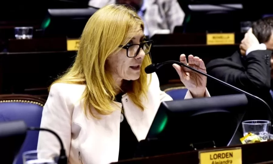 Proponen licencias especiales para el cuidado de hijos con discapacidad