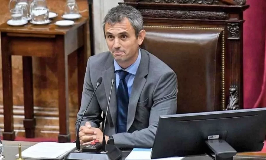 Martín Menem designó a un libertario en el Consejo de la Magistratura y quiere desplazar a la UCR