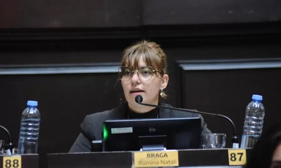 Braga repudi&oacute; la represi&oacute;n a la prensa en el Congreso: &ldquo;Es incompatible con la democracia&rdquo;