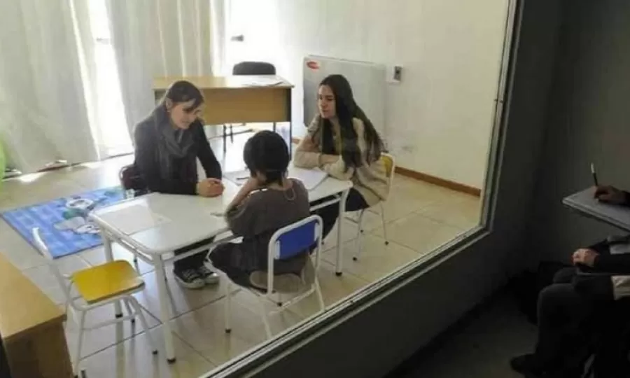 El Senado bonaerense convirtió en ley el nuevo protocolo de Cámara Gesell