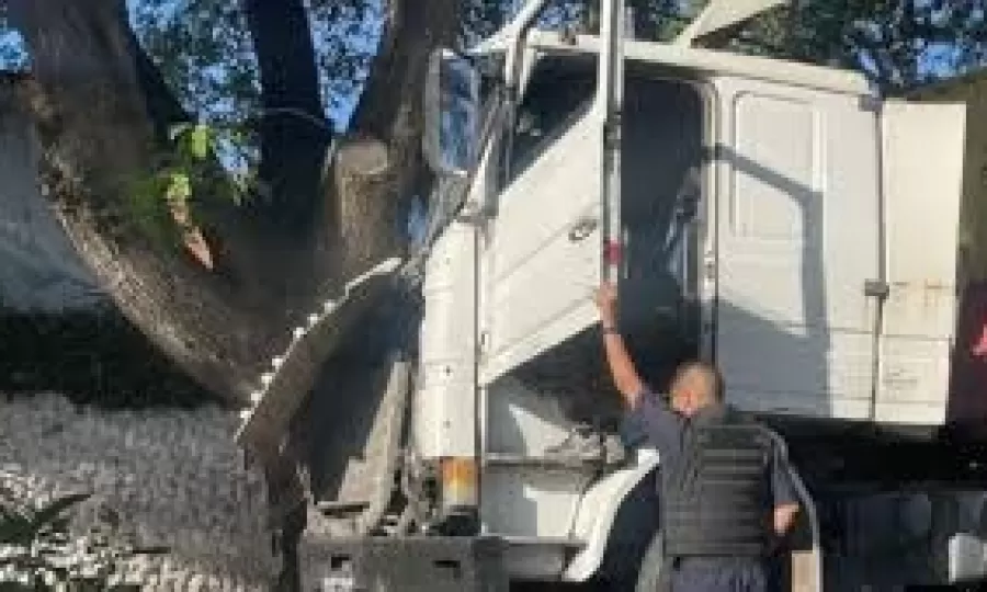 Un cami&oacute;n perdi&oacute; el control y se estrell&oacute; contra un &aacute;rbol