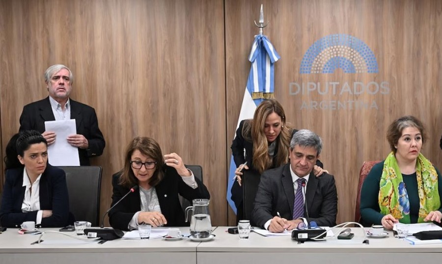 Los bloques consensuaron un solo proyecto para pedir explicaciones.