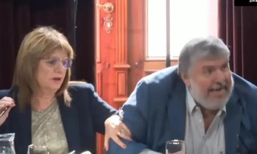 "Ac&aacute; hacen lo que se les canta las pelotas": el fuerte cruce entre Patricia Bullrich y Jos&eacute; Mayans en el Senado