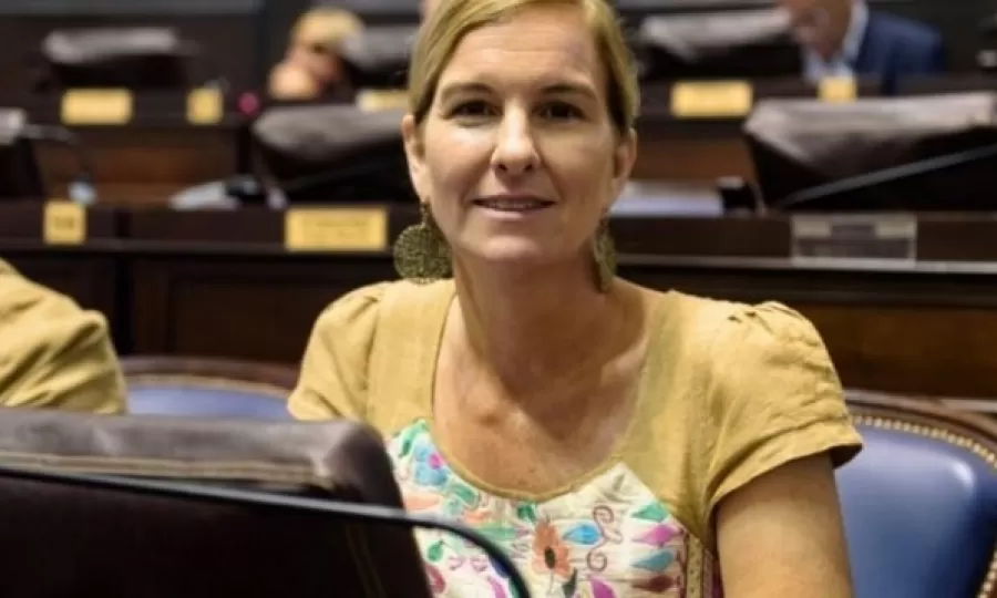 Diputada peronista busca crear un Defensor del Ni&ntilde;o en la provincia de Buenos Aires