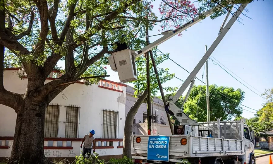 Profundizan operativos de despeje de luminarias