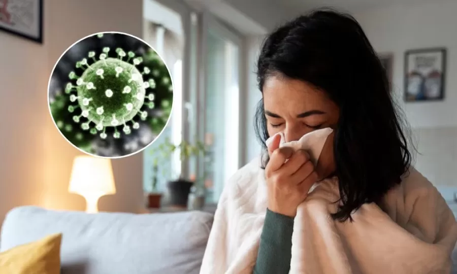 Confirmaron los primeros casos de la gripe H3N2 en la Argentina