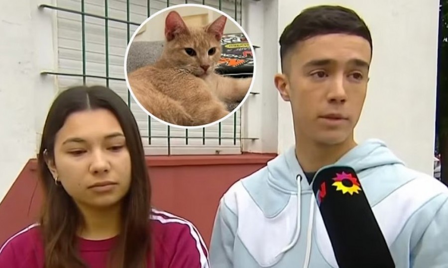 Los delincuentes se llevaron la camioneta con su gato adentro.