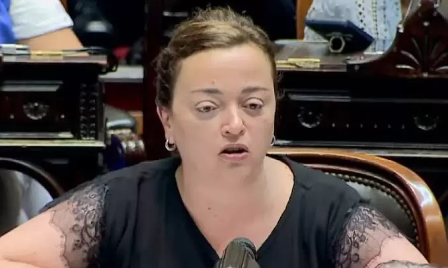 Cecilia Moreau: &ldquo;Este Presidente no quiere ni comprende a los argentinos&rdquo;